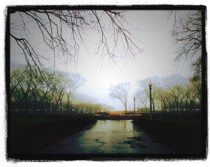 Grant Park In Autumn