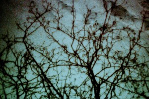 Winter 2